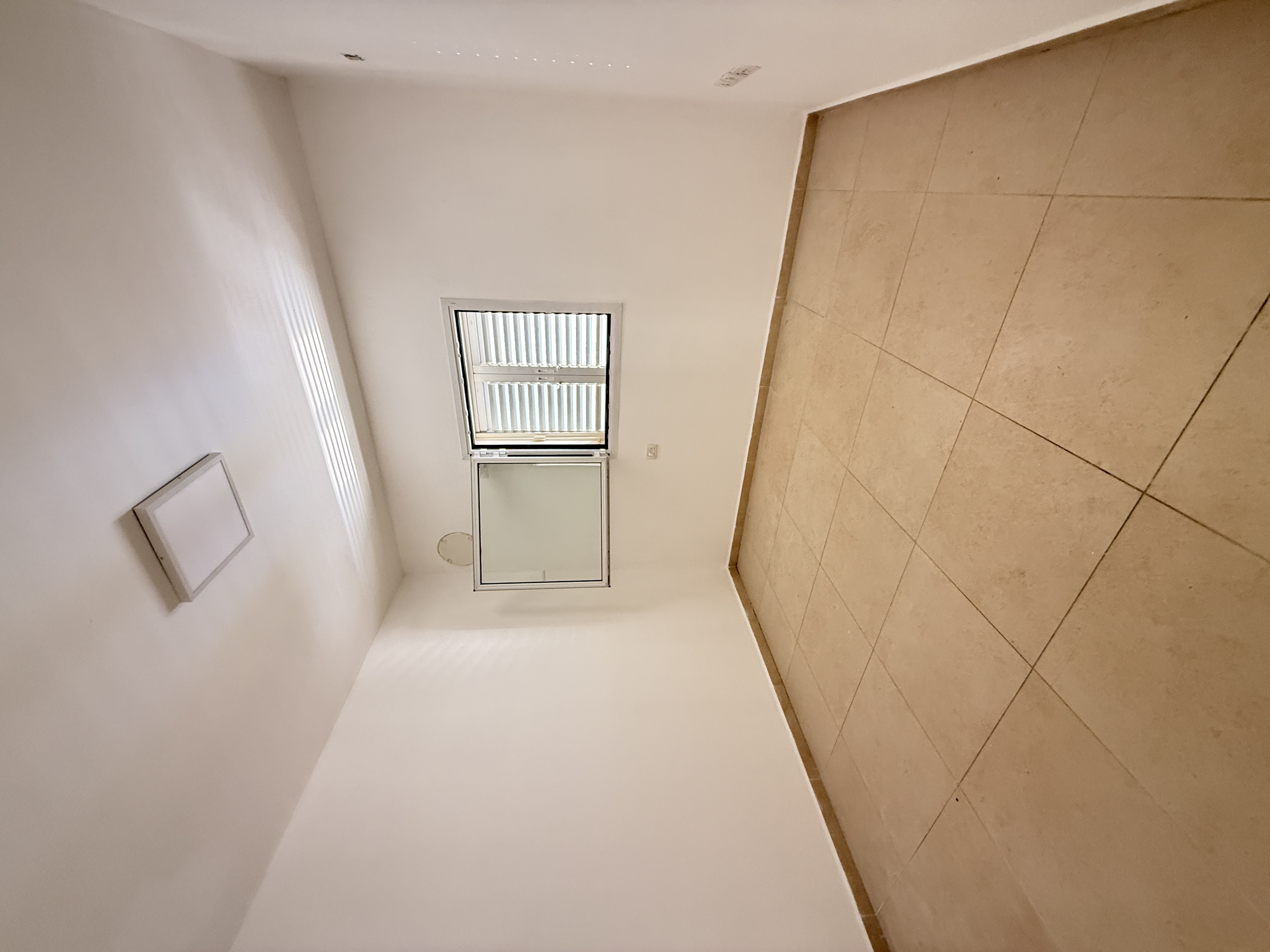 Rue Brodetsky - Beau & spacieux 5 Pieces — photo 4
